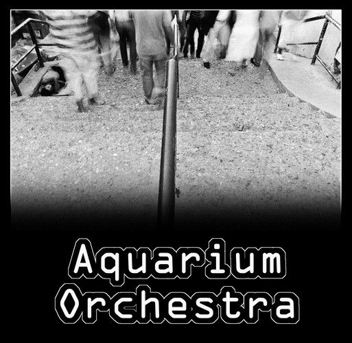 Aquarium Orchestra